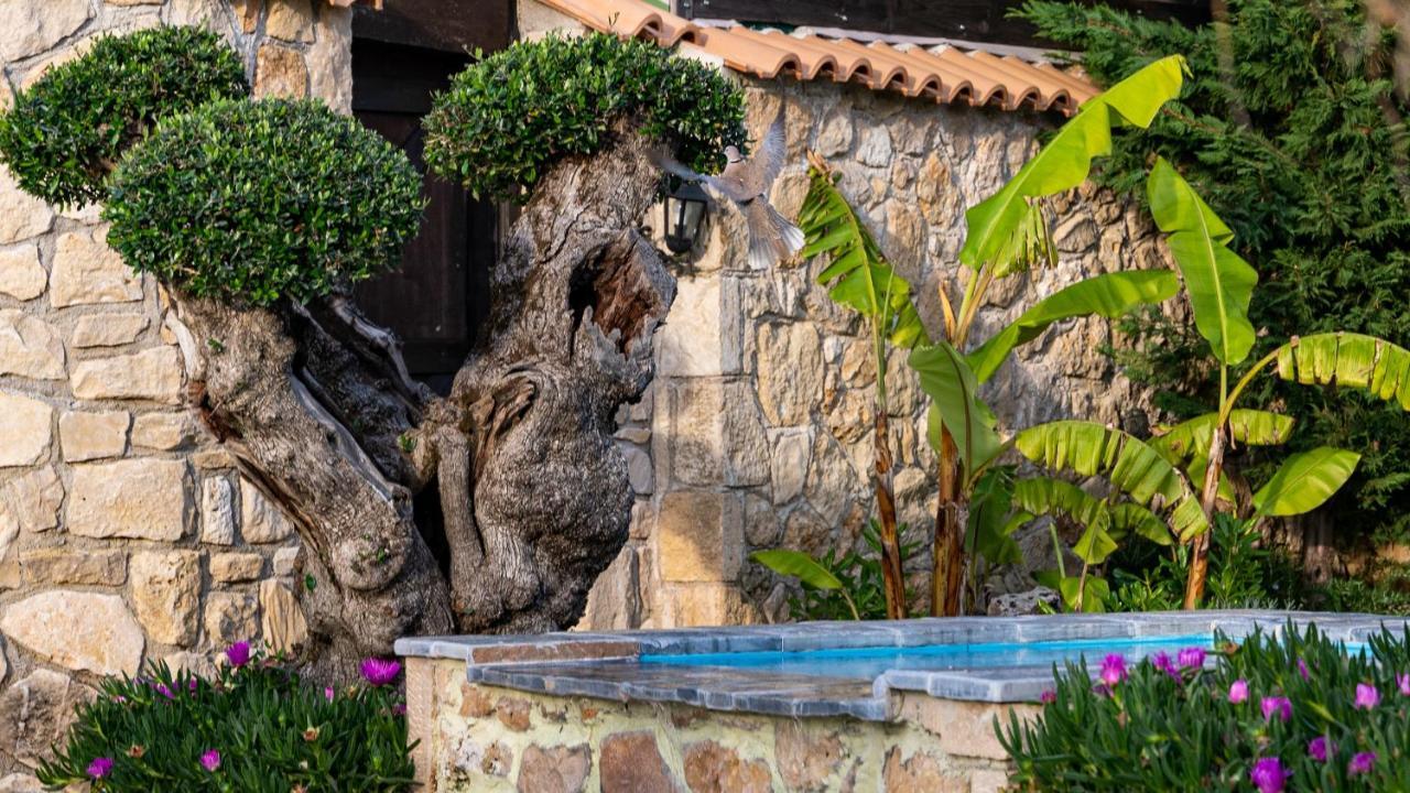 Vila Art House