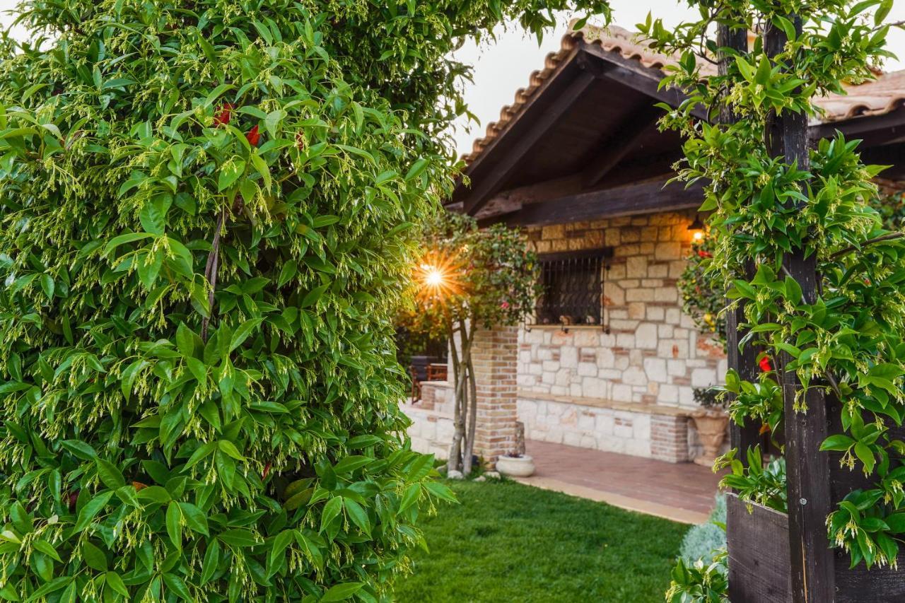 Art House Villa