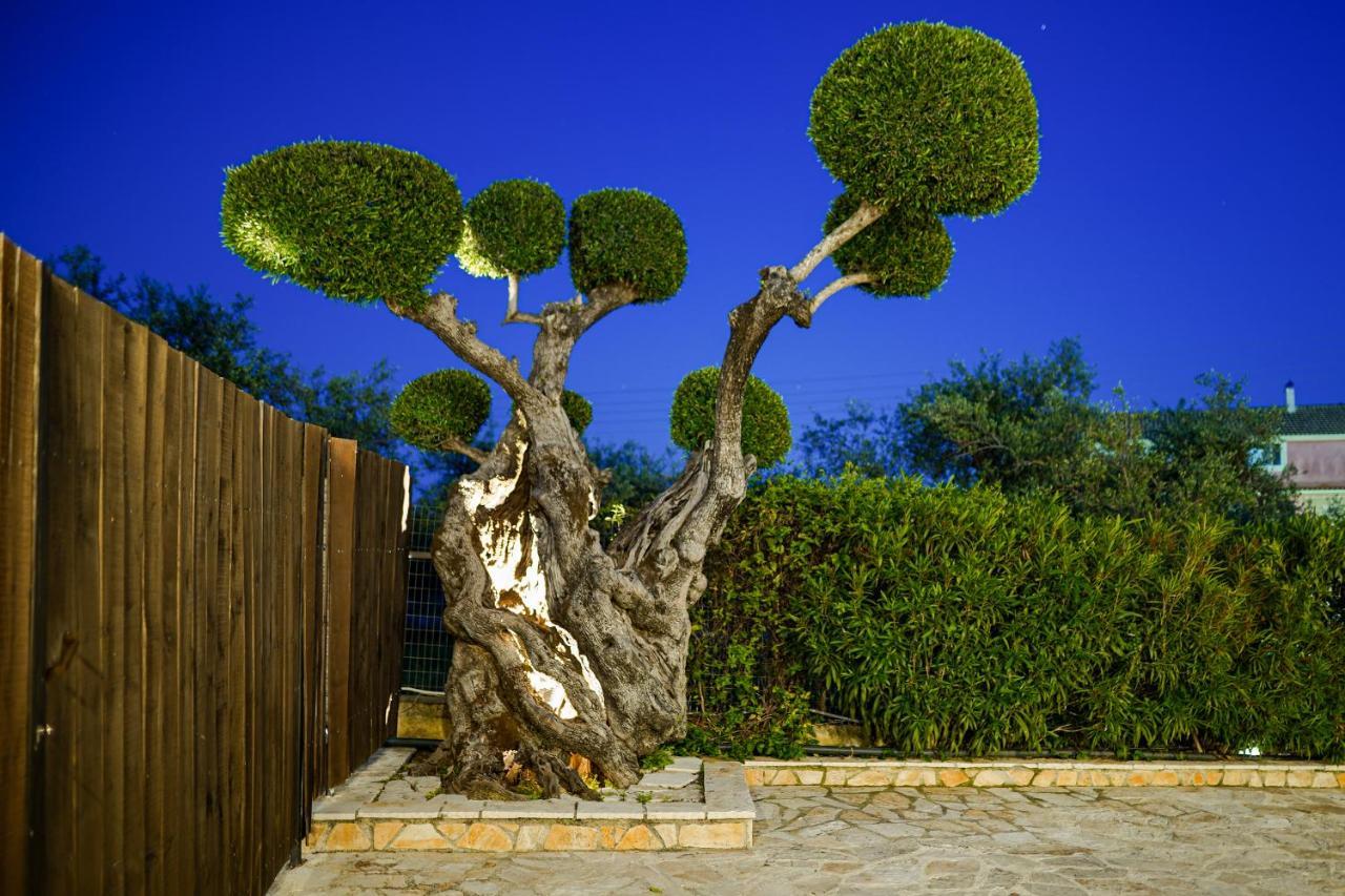 Art House Villa *